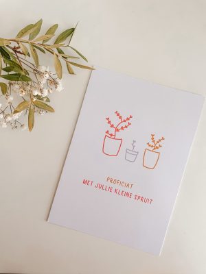 Kleine spruit
