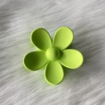 Grote speld kiwi