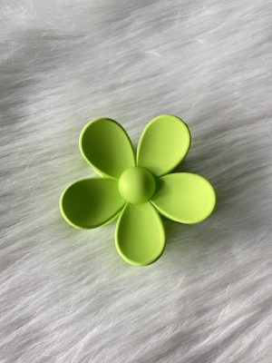 Grote speld kiwi