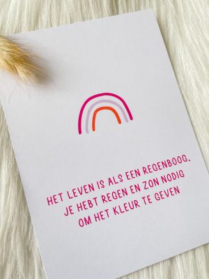 Regenboog