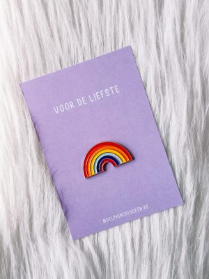 Pin: regenboog