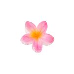 Hairclip bloem klein roze/oranje