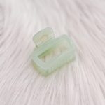 Hairclip rechthoekig munt