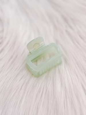 Hairclip rechthoekig munt